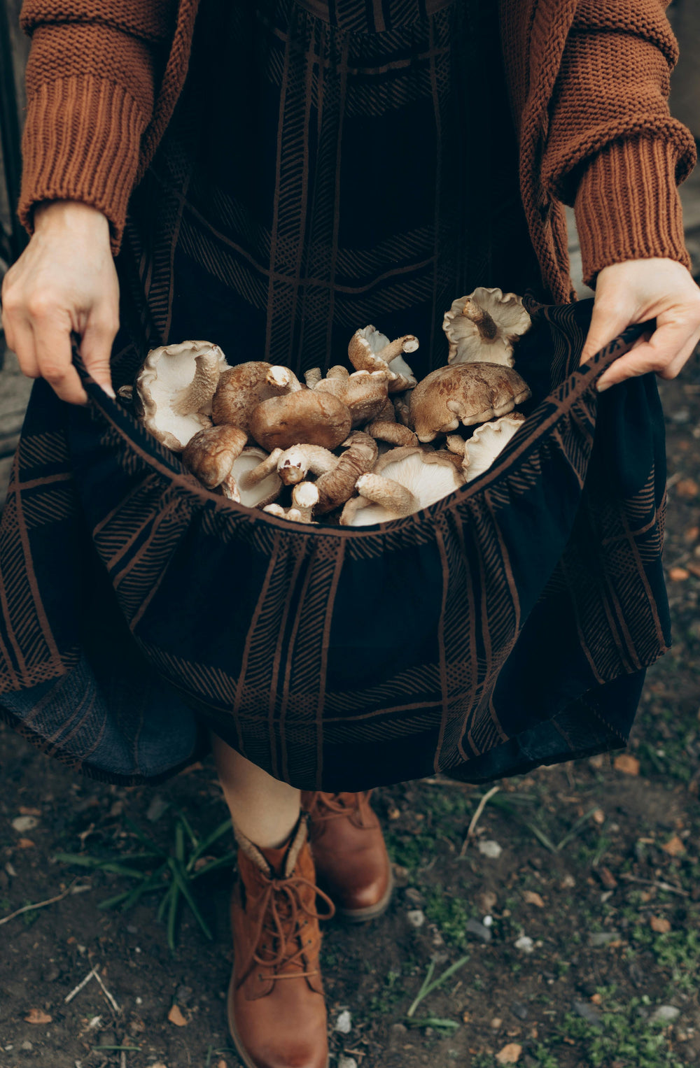 Shiitake